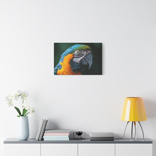 Feathery Symphony | Parrot | Matte Canvas